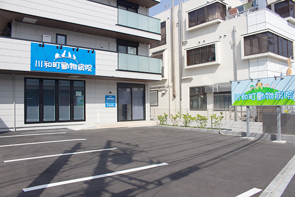 川和町動物病院